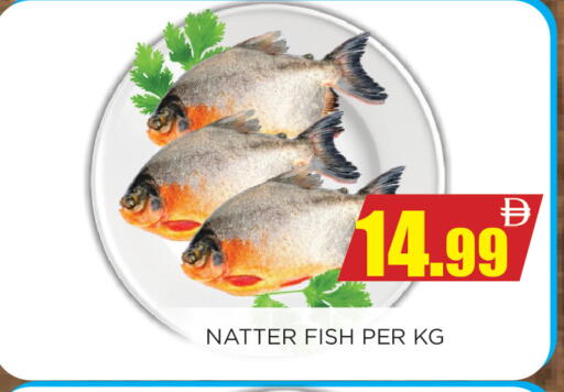 available at اينس المدينة هايبرماركت in الإمارات العربية المتحدة , الامارات - الشارقة / عجمان