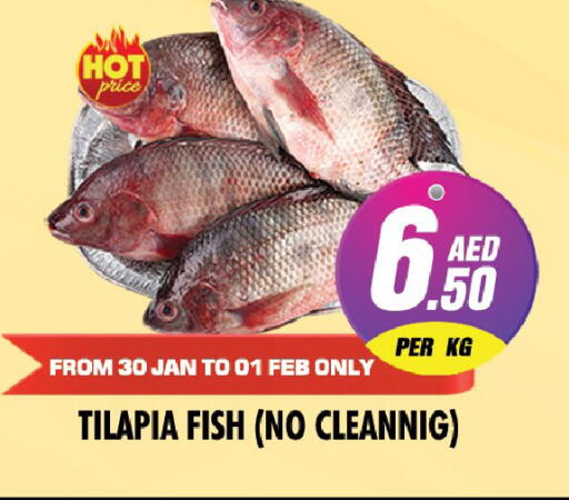 available at نايت تو نايت in الإمارات العربية المتحدة , الامارات - دبي