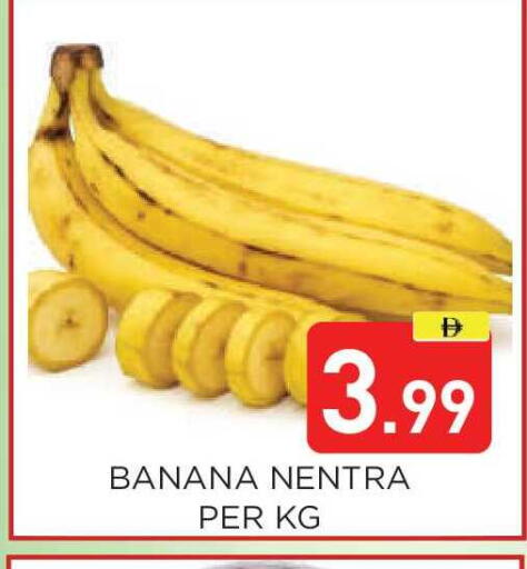 Banana available at عين المدينة هايبرماركت in الإمارات العربية المتحدة , الامارات - الشارقة / عجمان