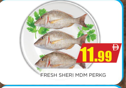 available at اينس المدينة هايبرماركت in الإمارات العربية المتحدة , الامارات - الشارقة / عجمان