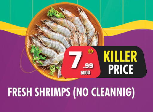 available at نايت تو نايت in الإمارات العربية المتحدة , الامارات - دبي