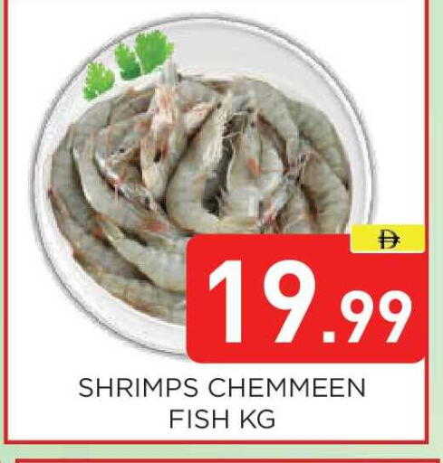 available at عين المدينة هايبرماركت in الإمارات العربية المتحدة , الامارات - الشارقة / عجمان