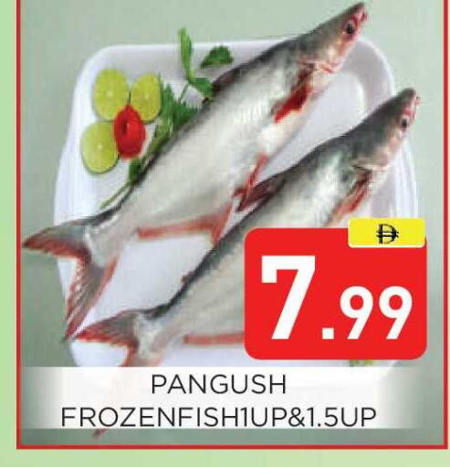 available at عين المدينة هايبرماركت in الإمارات العربية المتحدة , الامارات - الشارقة / عجمان