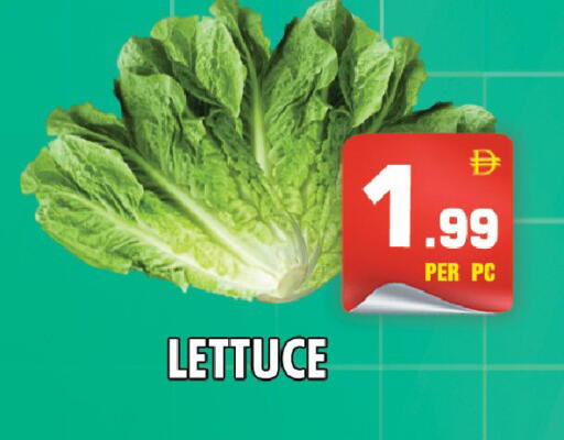 Lettuce available at نايت تو نايت in الإمارات العربية المتحدة , الامارات - دبي