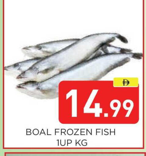 available at عين المدينة هايبرماركت in الإمارات العربية المتحدة , الامارات - الشارقة / عجمان