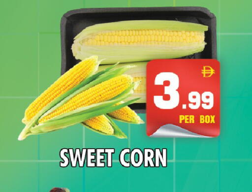 available at نايت تو نايت in الإمارات العربية المتحدة , الامارات - دبي