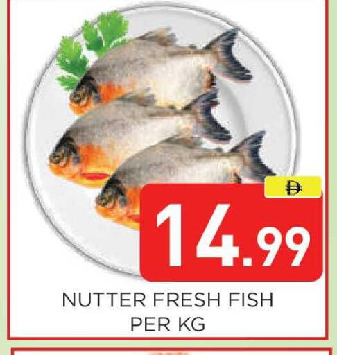 available at عين المدينة هايبرماركت in الإمارات العربية المتحدة , الامارات - الشارقة / عجمان