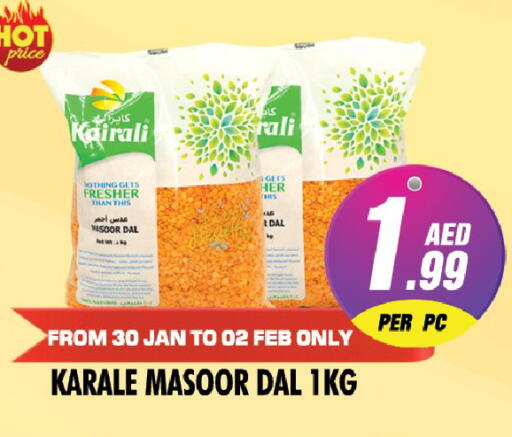 available at نايت تو نايت in الإمارات العربية المتحدة , الامارات - دبي