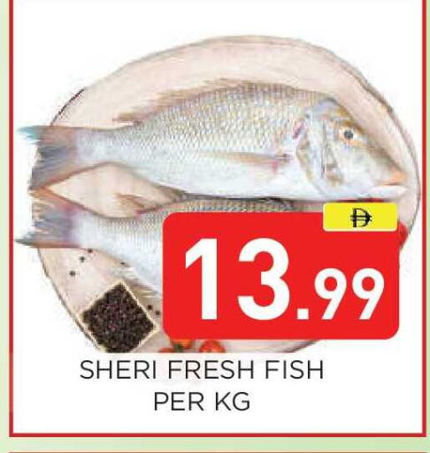 available at عين المدينة هايبرماركت in الإمارات العربية المتحدة , الامارات - الشارقة / عجمان