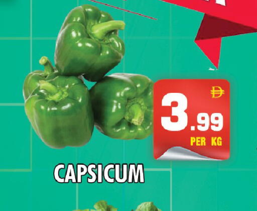 Capsicum available at نايت تو نايت in الإمارات العربية المتحدة , الامارات - دبي
