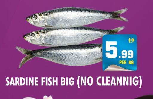 available at نايت تو نايت in الإمارات العربية المتحدة , الامارات - دبي