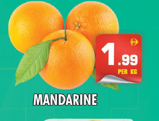 available at نايت تو نايت in الإمارات العربية المتحدة , الامارات - دبي