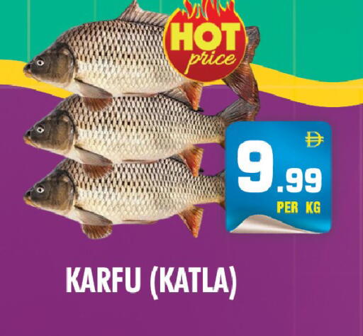 available at NIGHT TO NIGHT DEPARTMENT STORE in UAE - Dubai