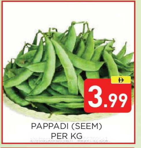 available at عين المدينة هايبرماركت in الإمارات العربية المتحدة , الامارات - الشارقة / عجمان