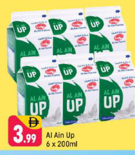 available at شكلان ماركت in الإمارات العربية المتحدة , الامارات - دبي