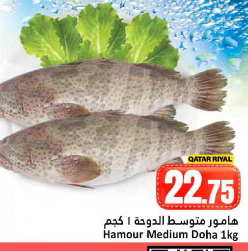 available at Dana Hypermarket in Qatar - Al-Shahaniya