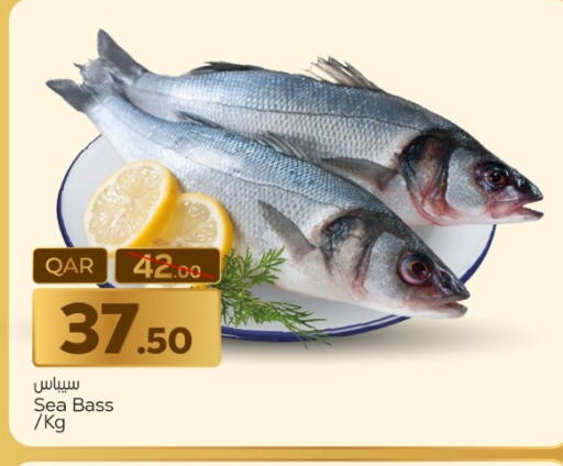 available at Paris Hypermarket in Qatar - Al-Shahaniya