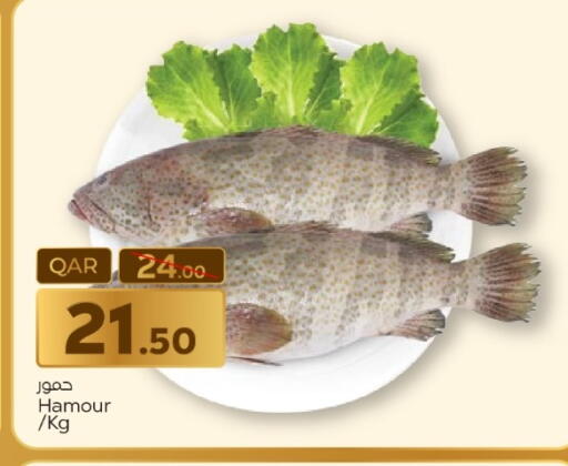 available at Paris Hypermarket in Qatar - Al-Shahaniya