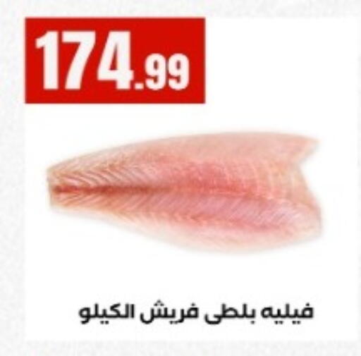 available at El Mahlawy Stores in Egypt - Cairo