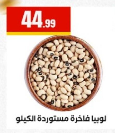 available at المحلاوي ستورز in Egypt - القاهرة