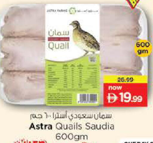 available at نستو هايبرماركت in الإمارات العربية المتحدة , الامارات - ٱلْعَيْن‎