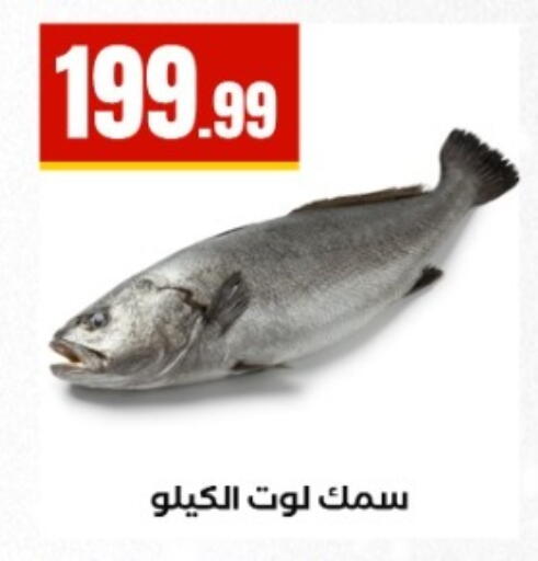 available at مارت فيل in Egypt - القاهرة