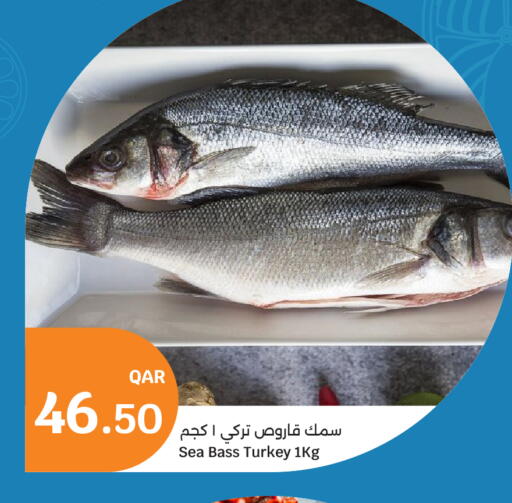 available at City Hypermarket in Qatar - Al Khor