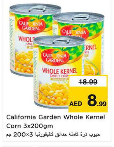 available at Nesto Hypermarket in UAE - Fujairah