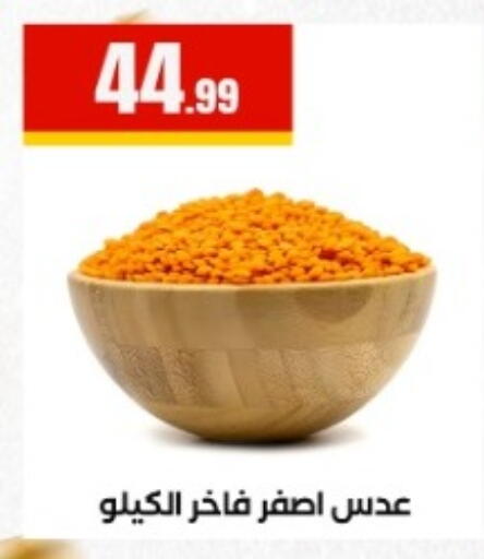 available at المحلاوي ستورز in Egypt - القاهرة