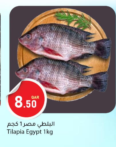 available at Dana Market in Qatar - Al Khor