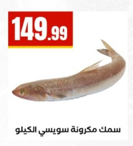 available at مارت فيل in Egypt - القاهرة