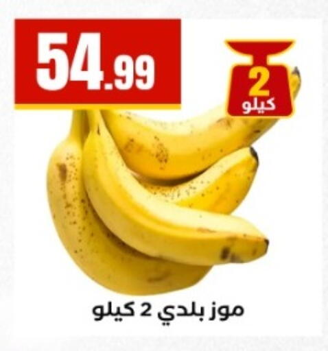 available at المحلاوي ستورز in Egypt - القاهرة