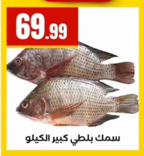 available at مارت فيل in Egypt - القاهرة