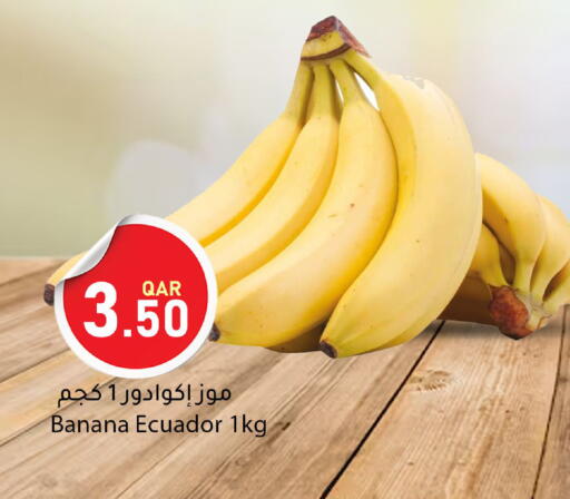 Banana from Ecuador available at Dana Market in Qatar - Al Rayyan