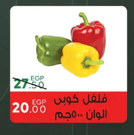 available at سراى ماركت in Egypt - القاهرة