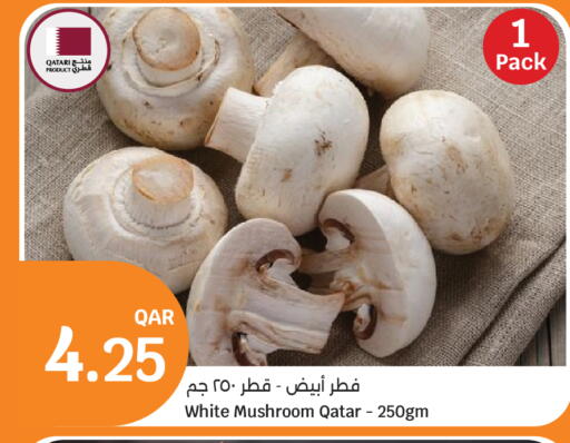 Mushroom from Qatar available at سيتي هايبرماركت in قطر - الشمال