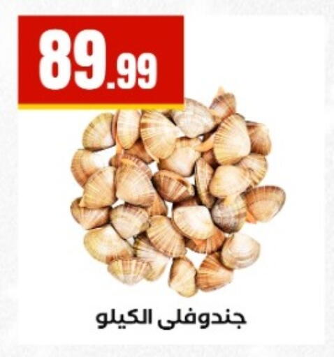 available at El Mahlawy Stores in Egypt - Cairo