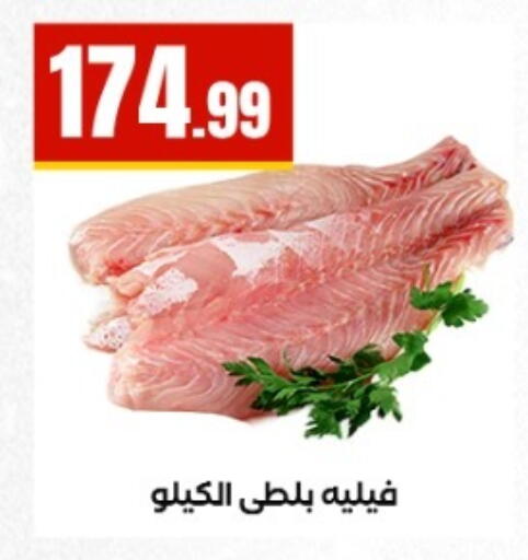 available at El Mahlawy Stores in Egypt - Cairo