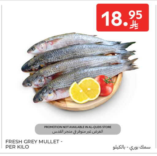 available at Carrefour in KSA, Saudi Arabia, Saudi - Sakaka