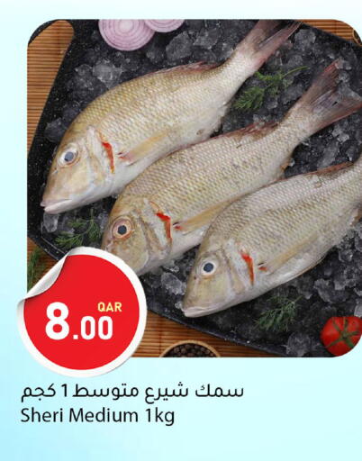available at Dana Market in Qatar - Al Khor
