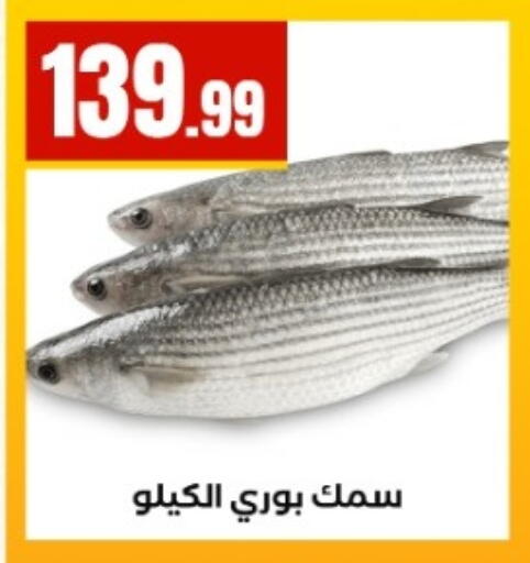 available at مارت فيل in Egypt - القاهرة