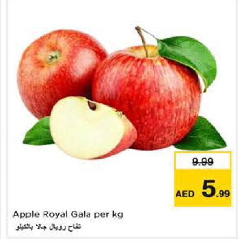Apple available at لاست تشانس in الإمارات العربية المتحدة , الامارات - ٱلْفُجَيْرَة‎