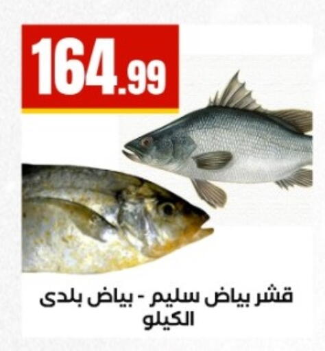 available at El Mahlawy Stores in Egypt - Cairo