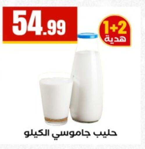 available at El Mahlawy Stores in Egypt - Cairo