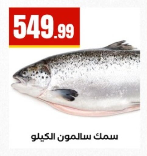 available at مارت فيل in Egypt - القاهرة