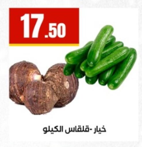 available at المحلاوي ستورز in Egypt - القاهرة