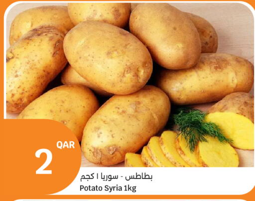 Potato from Syria available at City Hypermarket in Qatar - Al Wakra