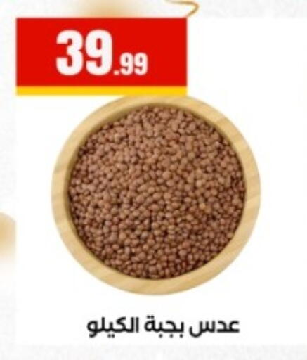 available at المحلاوي ستورز in Egypt - القاهرة