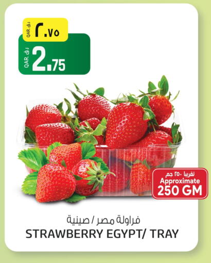 Strawberry from Egypt available at السعودية in قطر - الشمال