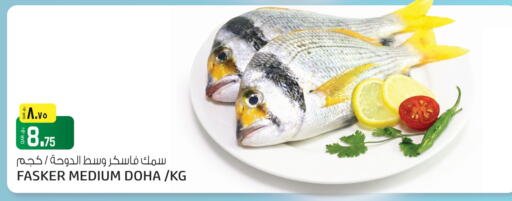 available at Saudia Hypermarket in Qatar - Umm Salal